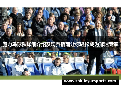 魔力鸟球队详细介绍及观赛指南让你轻松成为球迷专家