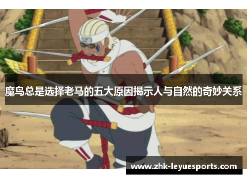 魔鸟总是选择老马的五大原因揭示人与自然的奇妙关系 魔鸟总是选择老马的五大原因揭示人与自然的奇妙关系